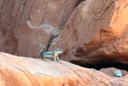 03 - Valley of fire (3)